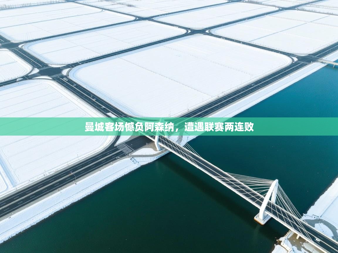 曼城客场憾负阿森纳,遭遇联赛两连败 第2张