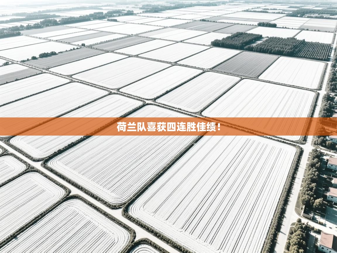 荷兰队喜获四连胜佳绩! 第1张