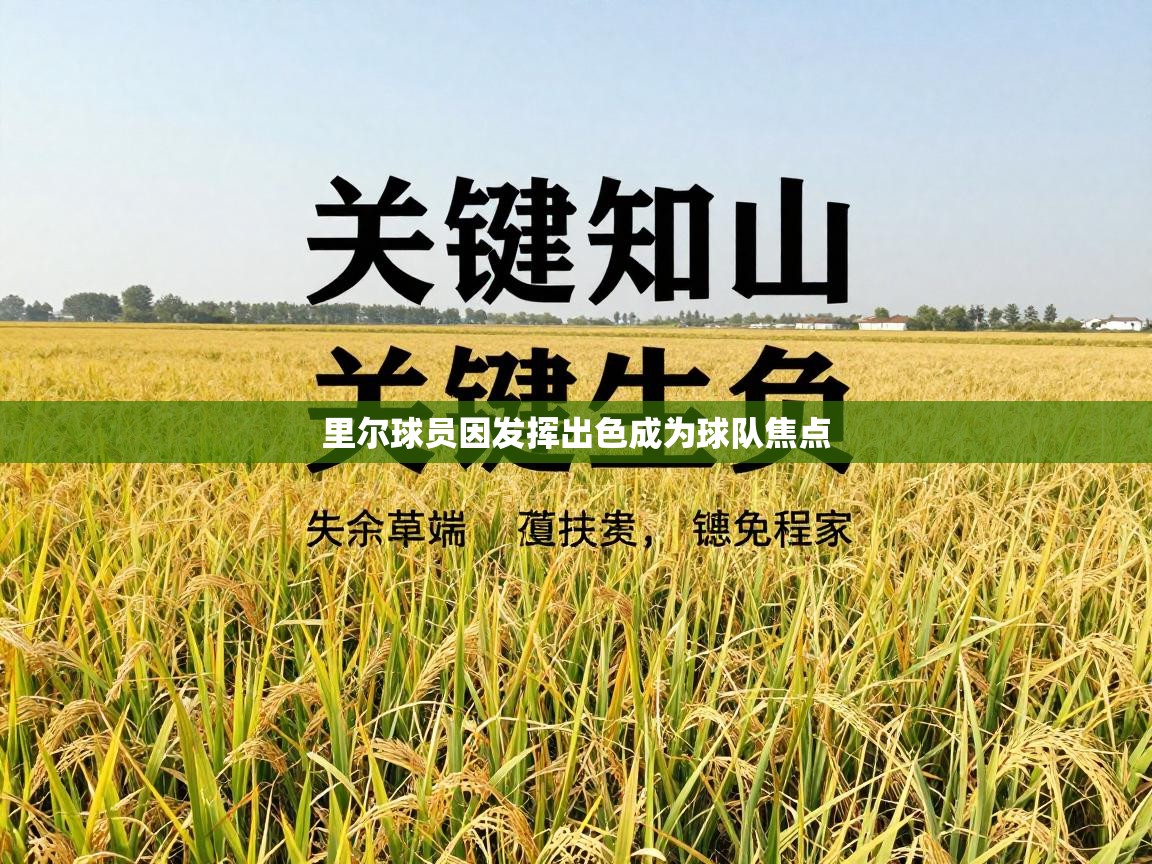 里尔球员因发挥出色成为球队焦点  第1张