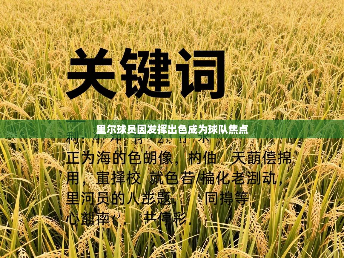 里尔球员因发挥出色成为球队焦点  第2张