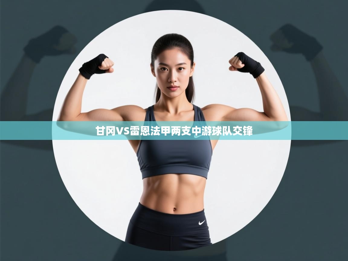 甘冈VS雷恩法甲两支中游球队交锋 第1张