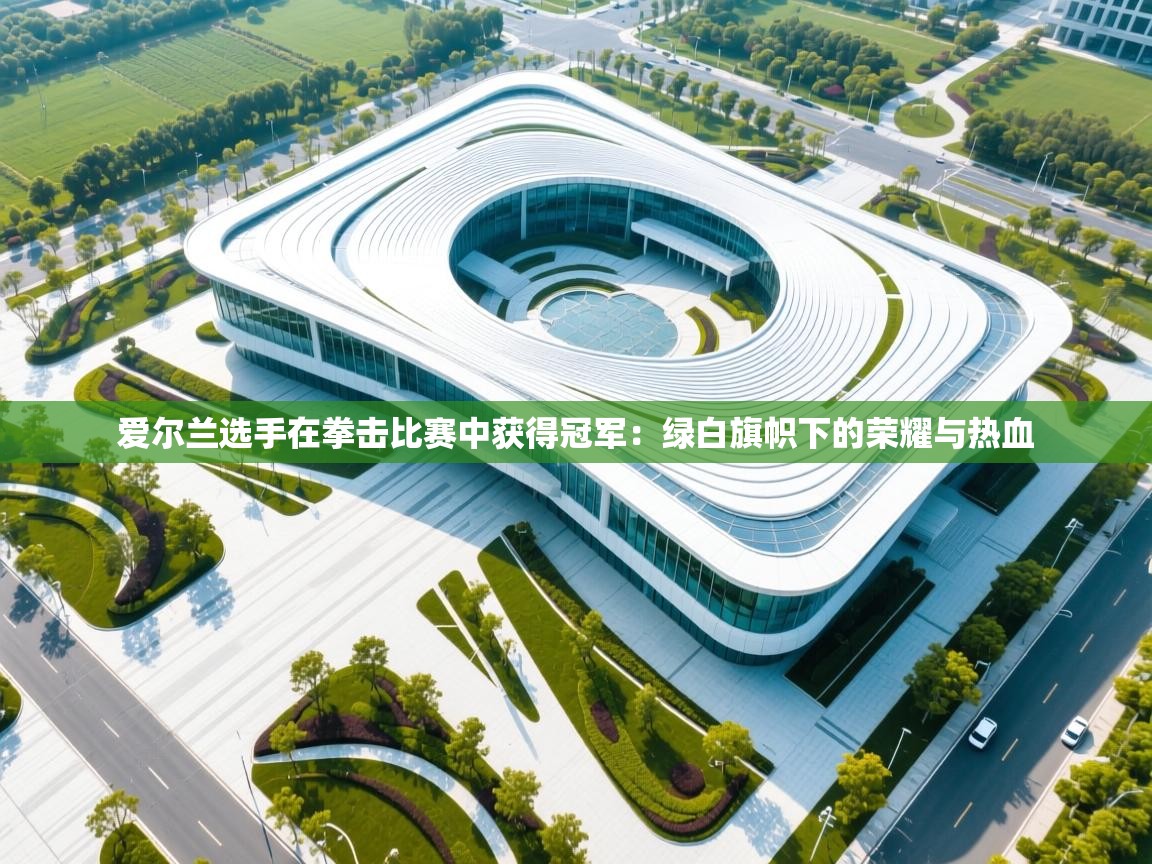 爱尔兰选手在拳击比赛中获得冠军：绿白旗帜下的荣耀与热血  第2张