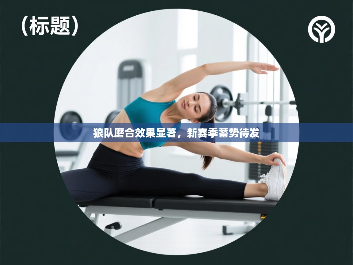 狼队磨合效果显著，新赛季蓄势待发  第2张